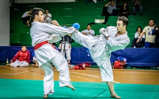 Shinryutino | Karatebook